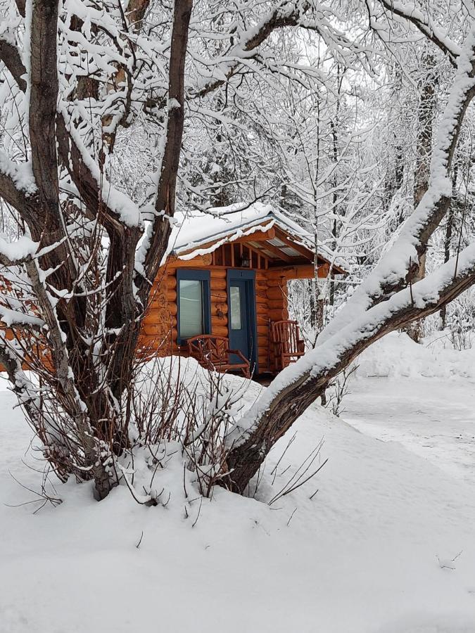 Hatcher Pass Cabins Палмер Экстерьер фото